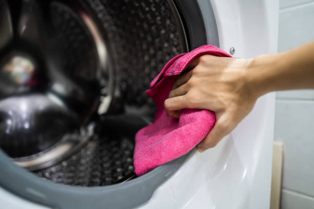 Best Mold Odor Removal Services  in Biloxi, MS