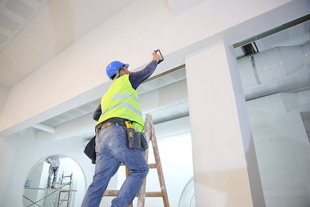 Best Attic Mold Removal  in Biloxi, MS